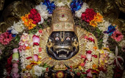 About Lord Nrisimhadeva